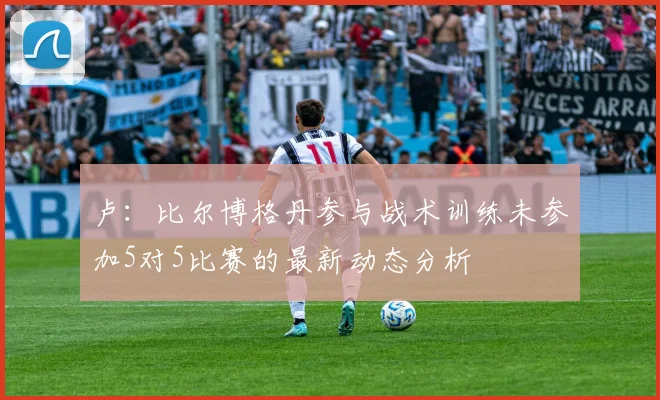 卢：比尔博格丹参与战术训练未参加5对5比赛的最新动态分析